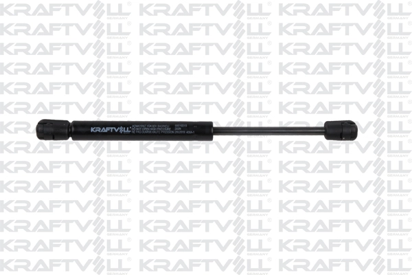 Gas Spring, bonnet (09010315)