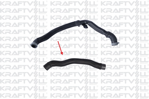 Radiator Hose (10034833)