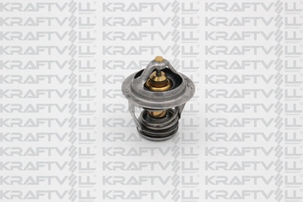 Thermostat, coolant (08110071)