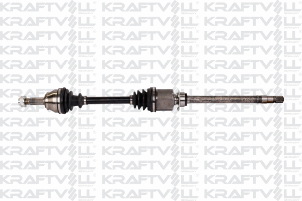 Drive Shaft (01010039)