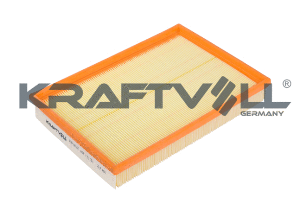 Air Filter (06010022)