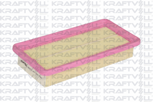 Air Filter (06010115)