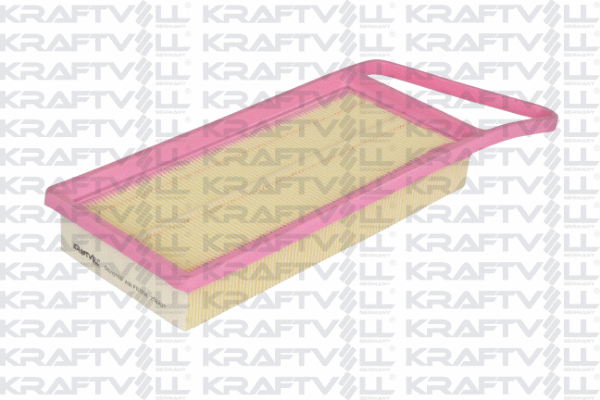 Air Filter (06010110)