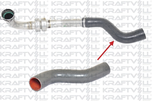 Radiator Hose (10030193)