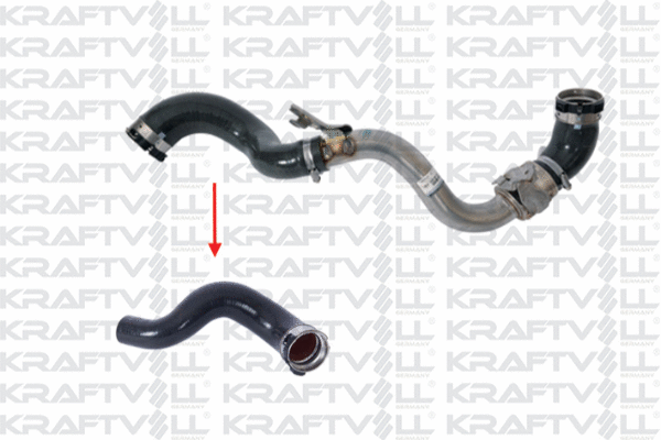 Charge Air Hose (10032553)