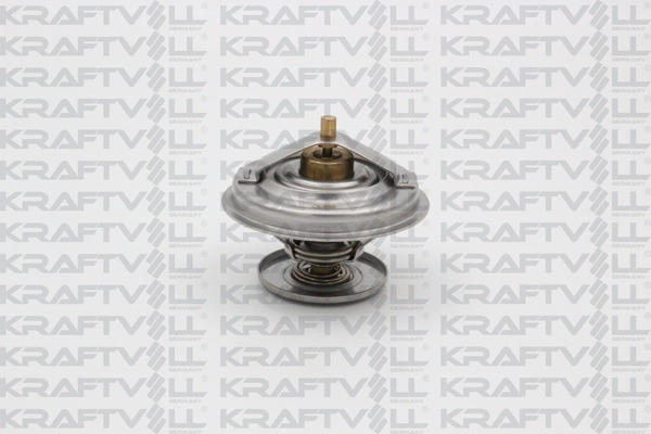 Thermostat, coolant (08110074)