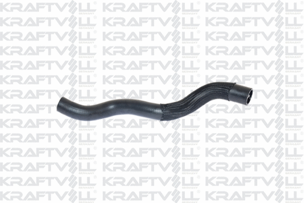 Radiator Hose (10030980)