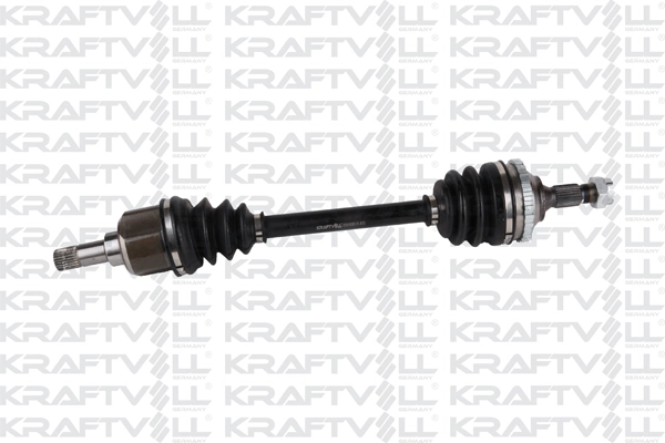 Drive Shaft (01010393)