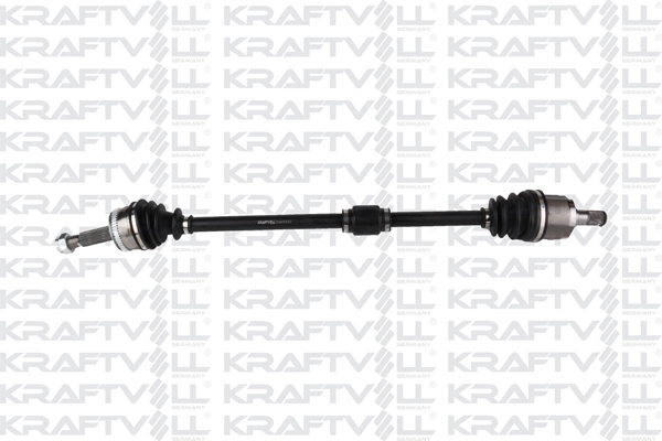 Drive Shaft (01010379)
