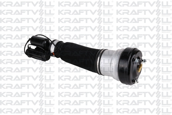 Air Suspension Strut (15060048)