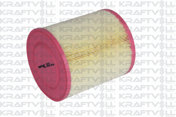 Air Filter (06010174)