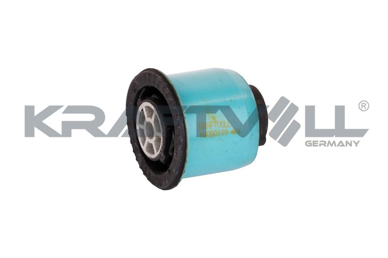 Bushing, axle beam (10050189)
