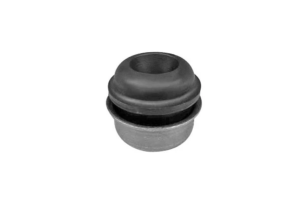 Bushing, axle beam (MH30213)