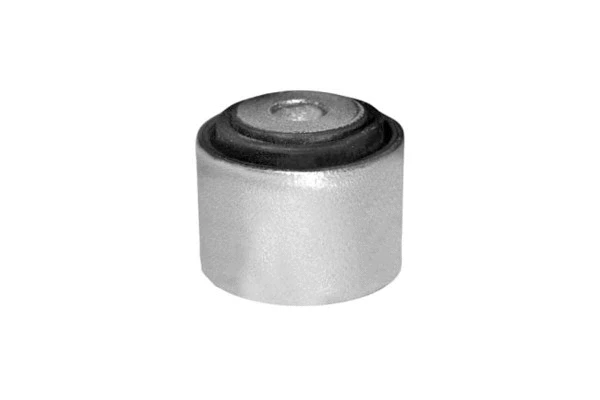 Mounting, control/trailing arm (MH40019)