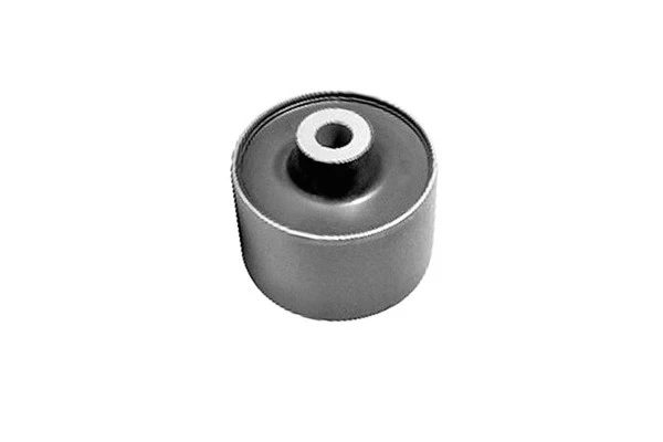 Bushing, axle beam (MH30025)