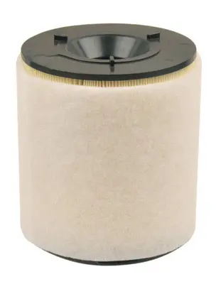 Air Filter (A33497)