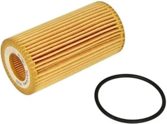Oil Filter (OE33009)