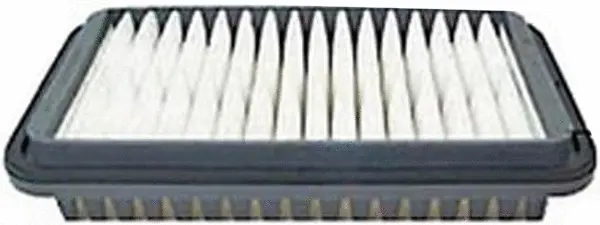 Air Filter (A29961)