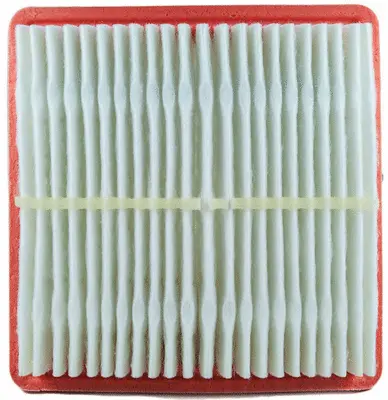 Air Filter (A22022)