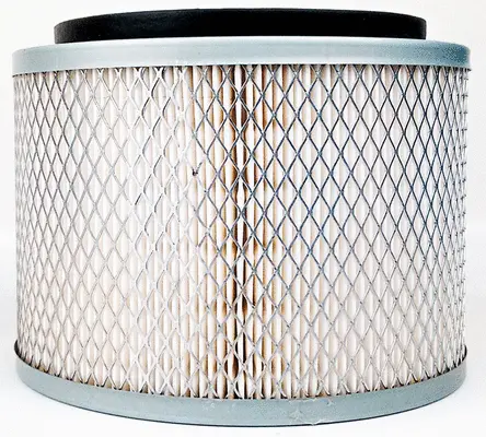 Air Filter (A22502)