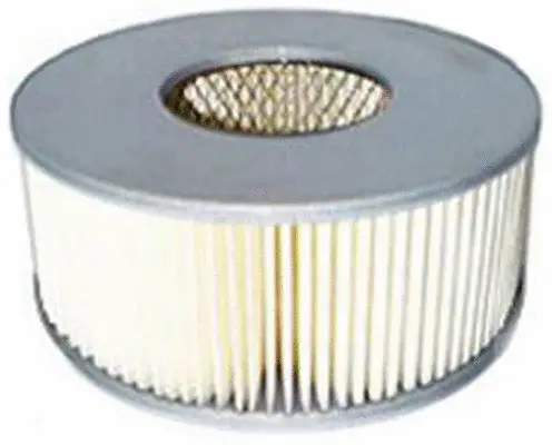 Air Filter (A25425)