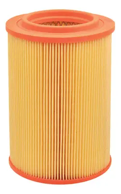 Air Filter (A33074)