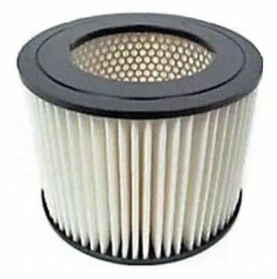 Air Filter (A21141)