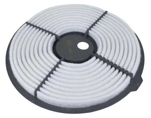 Air Filter (A21163)