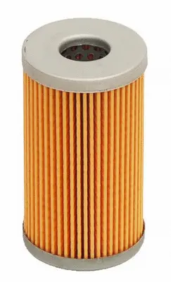 Fuel Filter (FE23072)