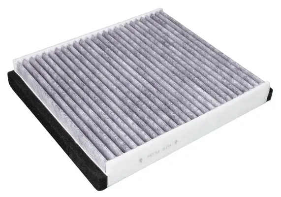 Filter, cabin air (AC45109C)