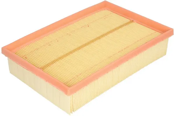 Air Filter (A51038)
