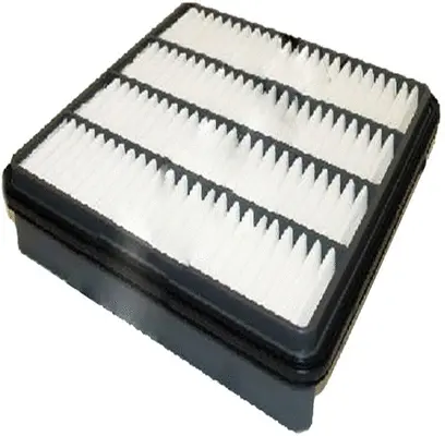 Air Filter (A21515)