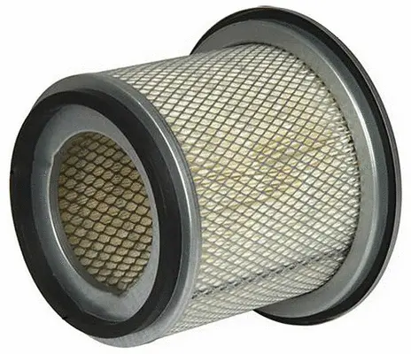 Air Filter (A22503)