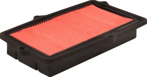 Air Filter (A40194)
