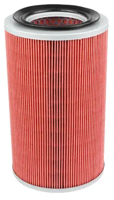 Air Filter (A22007)