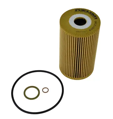 Oil Filter (OE31009)