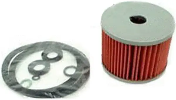 Fuel Filter (FE21203)