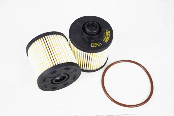 Fuel Filter (FE51003)