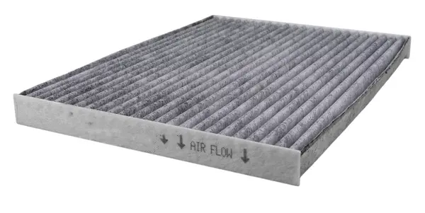 Filter, cabin air (AC22207C)