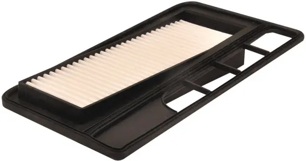 Air Filter (A29315)