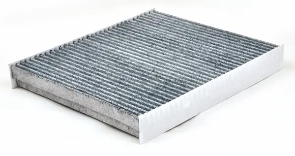 Filter, cabin air (AC33110C)