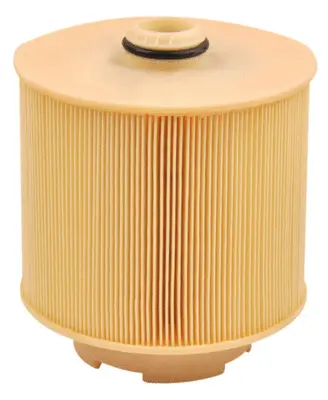 Air Filter (A33154)