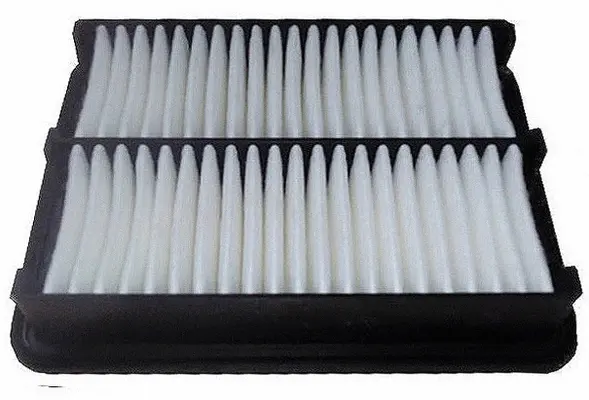 Air Filter (A25004)