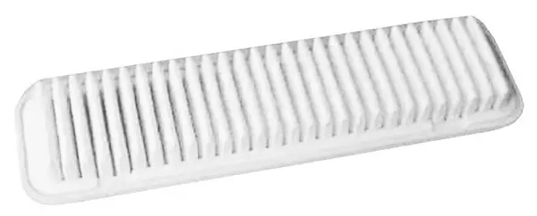 Air Filter (A21024)