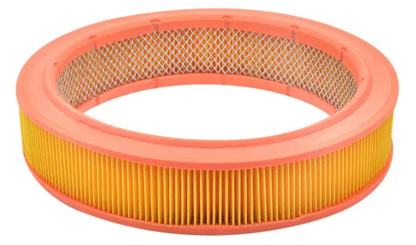 Air Filter (A33089)