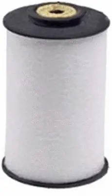 Fuel Filter (FE31011)