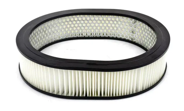 Air Filter (A22246)