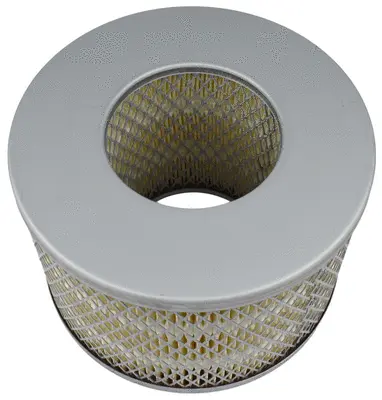 Air Filter (A21139)