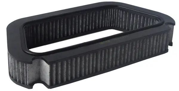 Filter, cabin air (AC33031C)