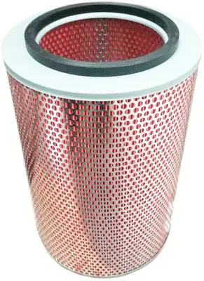 Air Filter (A22274)
